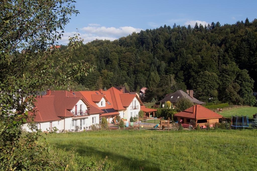Willa I Domki Victoria Wisla Exterior photo